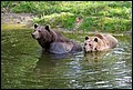 X_MG_0172.jpg