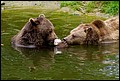 _MG_2999.jpg