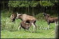 _MG_3040.jpg