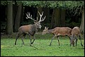 _MG_3874.jpg