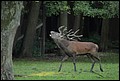 _MG_3876.JPG