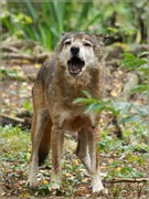 _MG_4086.jpg