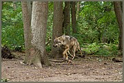 _MG_4059.jpg